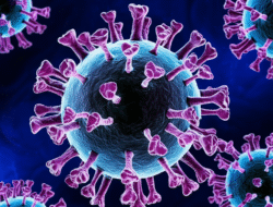 Virus baru 2025
