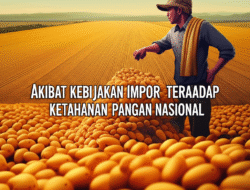 Akibat Kebijakan Impor terhadap Ketahanan Pangan Nasional