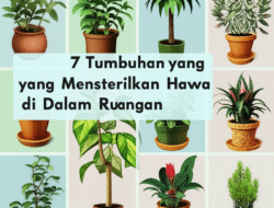 7 Tumbuhan yang Mensterilkan Hawa di Dalam Ruangan