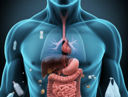 Bahaya Sampah Plastik untuk Kesehatan Manusia