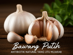 Bawang Putih: Antibiotik Natural yang Jitu Mujarab