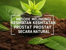 Metode Melindungi Kesehatan Prostat Secara Natural