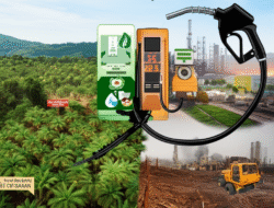 Akibat Kebijakan Biofuel terhadap Industri Kelapa Sawit